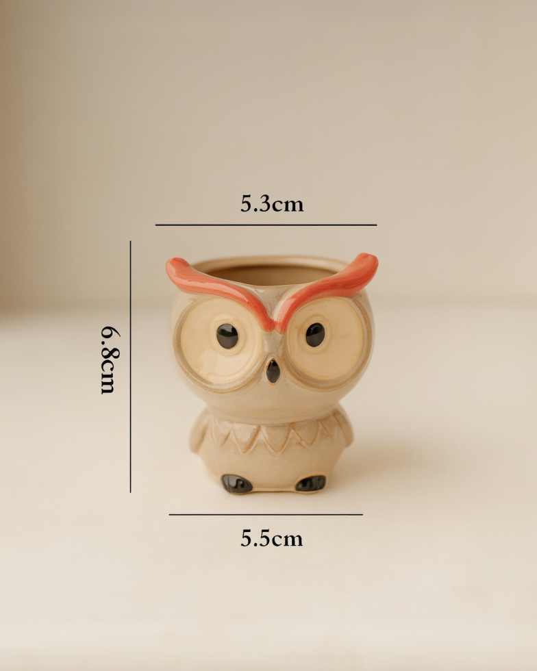 Titi - La canaille 😏