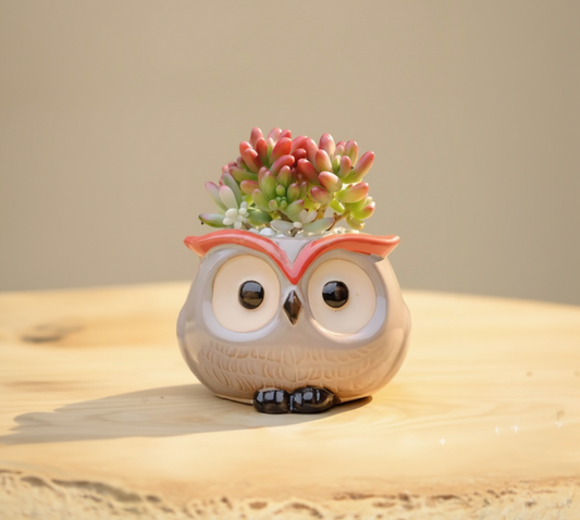 Merlin – Le sage 🧙‍♂️