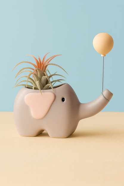 Flora – La douce 🌸