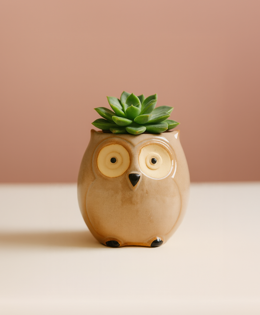 Mimi - La timide 🫶