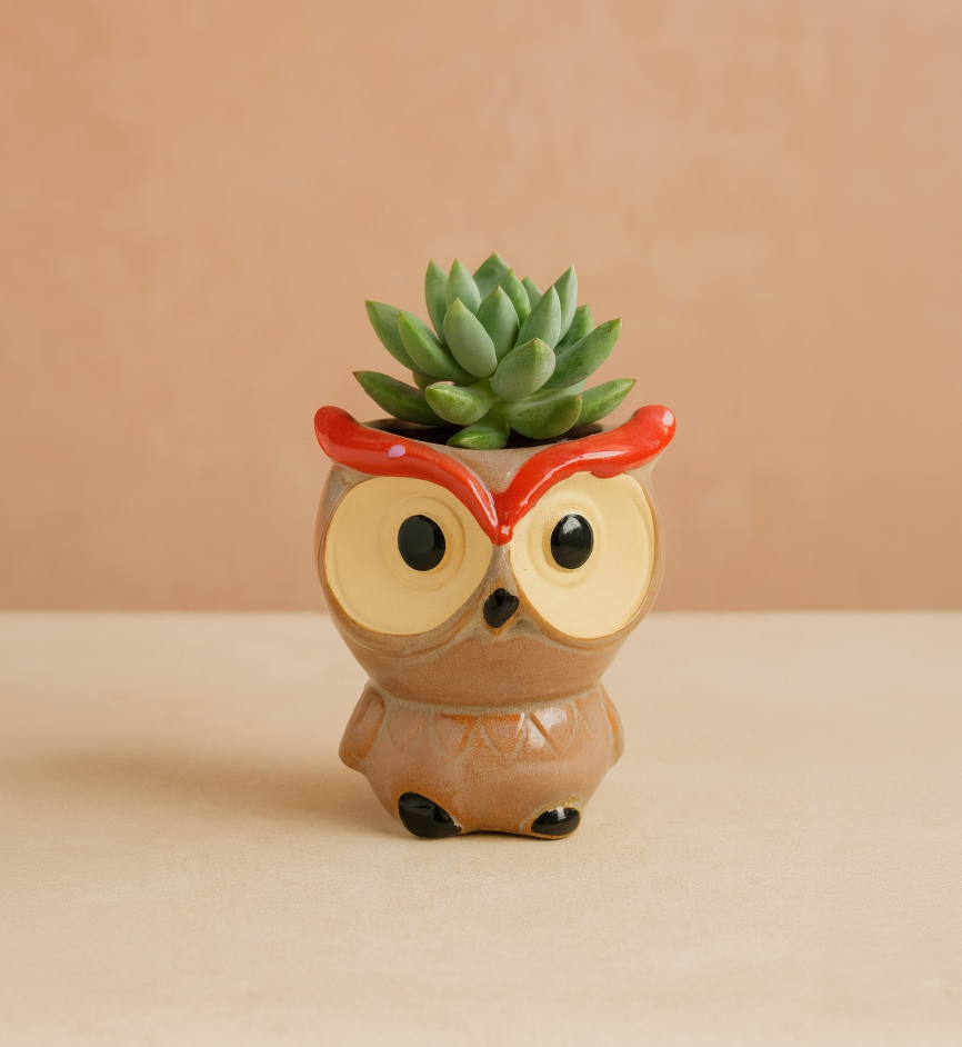 Titi - La canaille 😏