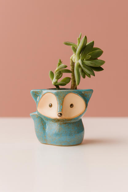 Milo - Le p'tit explorateur 🔭