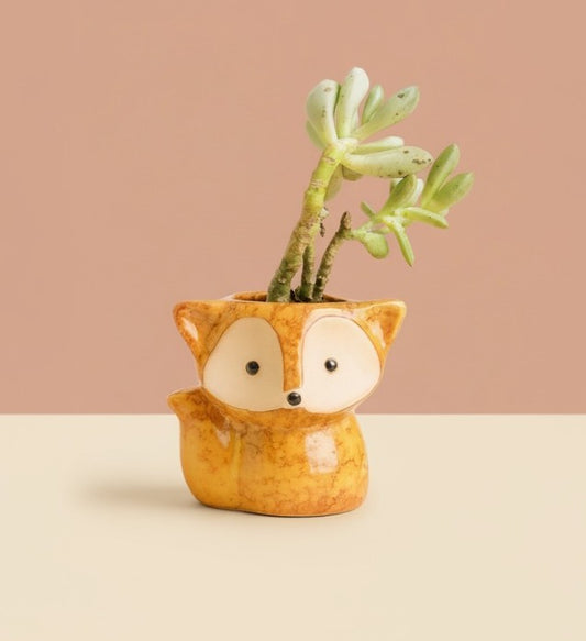 Rouxy - La rouquine 🦊